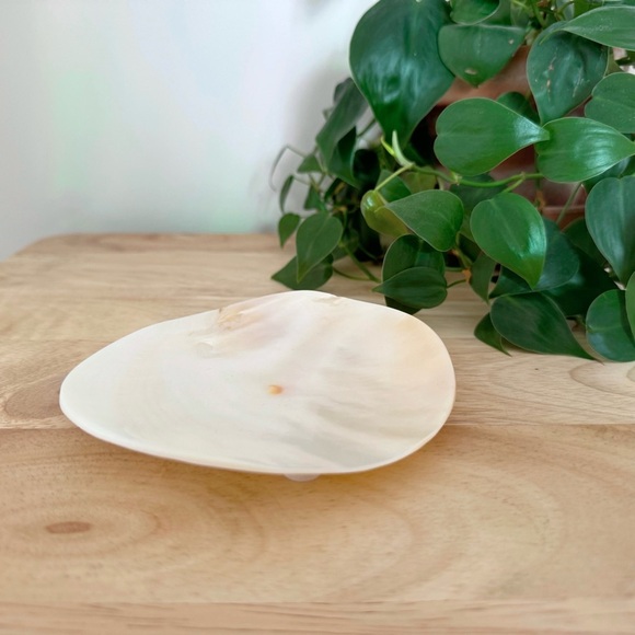 NWT Anthropologie shell caviar dish - Picture 5 of 6